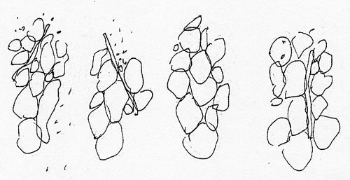 coupilleN0-cailloux011.jpg